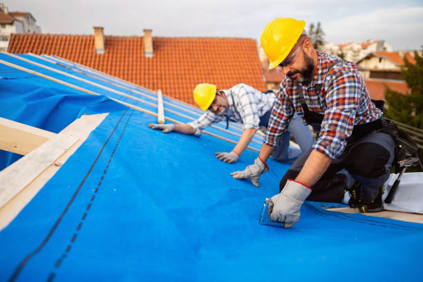 Best Sealant for Roof  in Berry Creek, CA