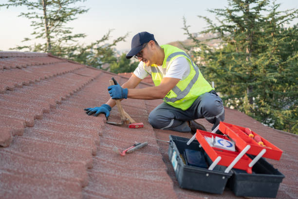 Best Metal Roofing Contractor  in Berry Creek, CA